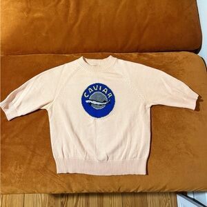 Rachel Antonoff Short-Sleeved Paul Sweater in Caviar